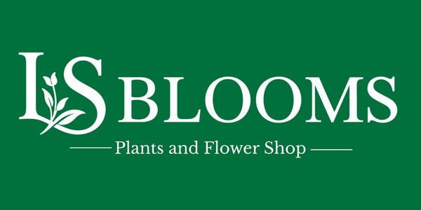 LS BLOOMS PH